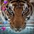 Ginger Doege Metcalf's profile image