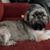 Brandy Lutz's profile image