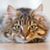 Maureen O'Neal's profile image