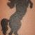 Jennifer Neeley's profile image