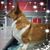 Sonja Zaggy Benavidez's profile image