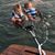 Kayla Lorenz Swangler's profile image