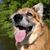 Amy Beauchamp's profile image