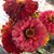 JeffLara Talbert's profile image