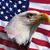 Bryan Santucci's profile image