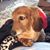 Cindy Sgroi's profile image