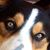 Ryn Zep's profile image