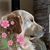 Laurin Joy's profile image