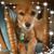 Teri Prochaska's profile image