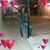Courtney Tishawn's profile image