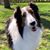 Cheryl Homman Doyle's profile image