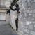 Carine Robert's profile image