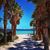 Kelly Rapp-Cano's profile image