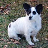 Bubba Pamela Martin's profile image