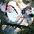 MattnKim McKeown's profile image