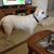 Bonnie Killeen's profile image