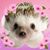 Brenda Brewer Vestering's profile image