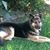 Kevin Walch's profile image