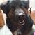 Debbie Puls's profile image