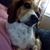 DeeDee Wiley Walton's profile image