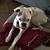 Kathleen Carnegie Villarreal's profile image