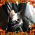 Stephanie Baker's profile image
