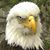 Rut Woods-Marks's profile image