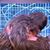 Liz Turgeon's profile image