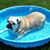 Lorrie Dauterman's profile image