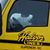 Steve Amann's profile image