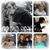 Theresa Randle's profile image