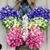 Brenda Weiss Miller's profile image