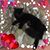 Carla B. Powell's profile image