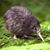Kate Dawson's profile image