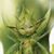 Mo Doggett's profile image