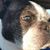 Stephany Schultz's profile image