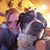 Christine Haradon's profile image