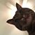 Cheryl Averso's profile image