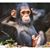 Chris Mincks's profile image