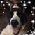 Wennschmee Schmee's profile image