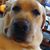 Jacqueline Faas-Canete's profile image