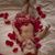 Danielle Smith Wyatt's profile image