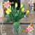 Elizabeth Sidote Brody's profile image