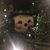 Cheryl Senkowsky's profile image