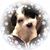 Dana Cook Wiegand's profile image