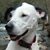 Donna Adams's profile image