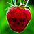 Cheri Toliver Gibbons's profile image