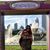 Sara Holston's profile image