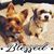 Melissa Anne MJ's profile image