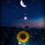 Starr Rodriguez's profile image